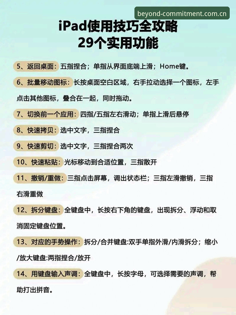 电脑端专注不止于承诺app教学实用指南：避开五个新手常见坑